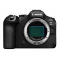 Canon EOS R6 Mark III body
