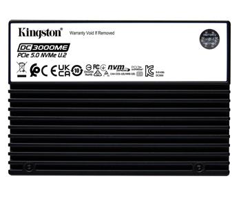 Kingston SSD DC3000ME 7680GB M.2 PCIe 5.0 NVMe x4