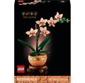 LEGO Botanicals - Miniaturní orchidej 10343