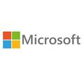Microsoft OEM Windows Server CAL 2025 CZ 1 User CAL