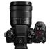 Panasonic LUMIX S5 M2 + Lumix S50 f/1.8 kit blk
