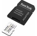 SanDisk High Endurance/micro SDXC/256GB/100MBps/UHS-I U3 / Class 10/+ Adaptér
