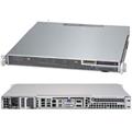 SUPERMICRO SYS-1019S-M2