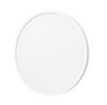 Xiaomi Mi Smart LED Ceiling Light D30